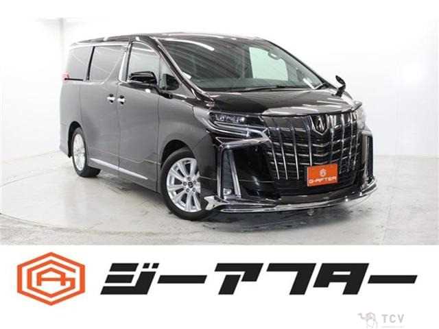2019 Toyota Alphard G