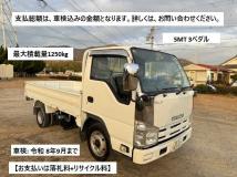 2013 Isuzu Isuzu Others
