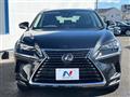2019 Lexus NX