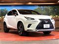 2020 Lexus NX