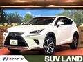 2018 Lexus NX