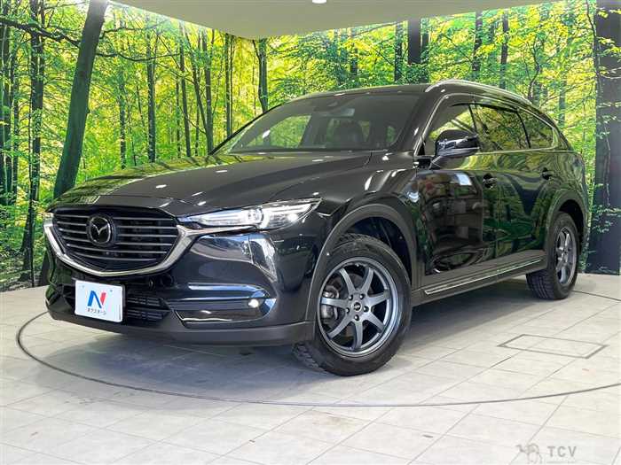 2019 Mazda CX-8