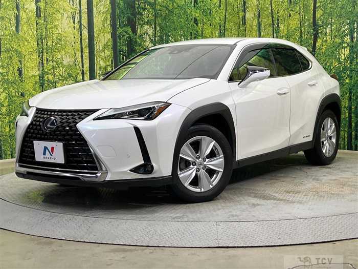 2019 Lexus Other