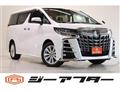 2019 Toyota Alphard G