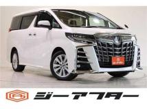 2019 Toyota Alphard G