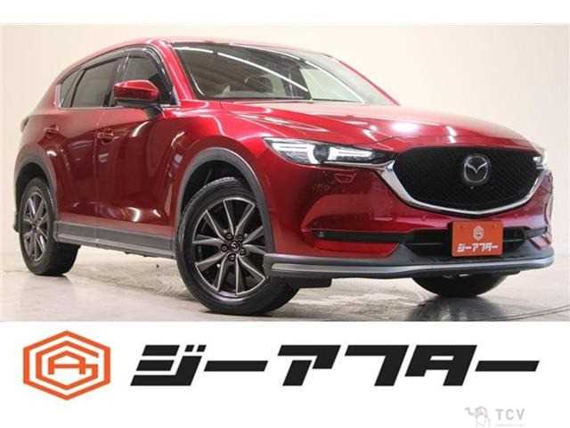 2019 Mazda Mazda Others