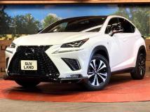 2019 Lexus NX
