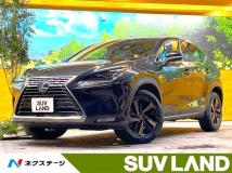 2021 Lexus NX