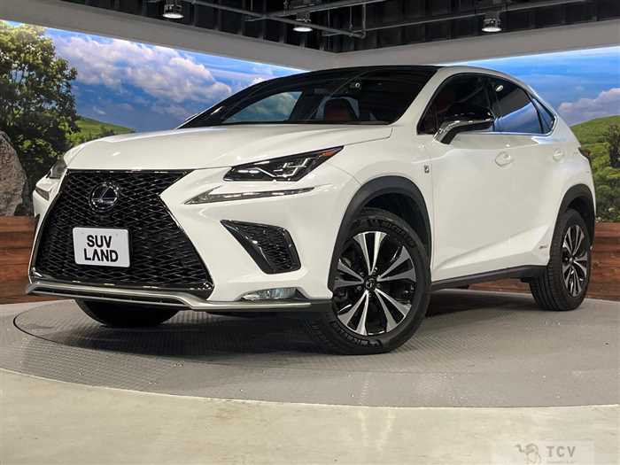 2018 Lexus NX