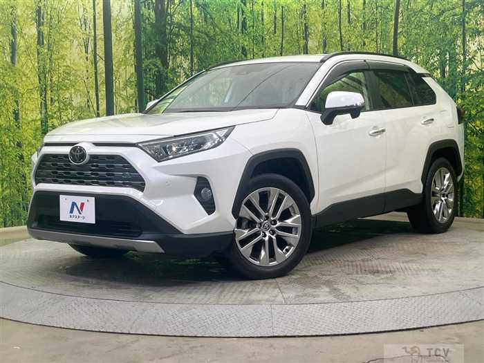 2020 Toyota RAV4