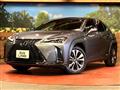2019 Lexus Other