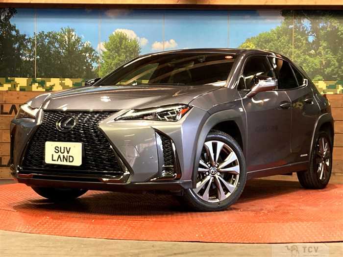 2019 Lexus Other