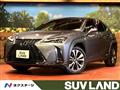 2019 Lexus Other