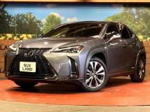 2019 Lexus Other