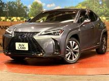 2019 Lexus Other