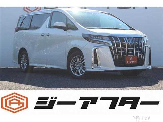 2020 Toyota Alphard G