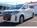 2020 Toyota Alphard G