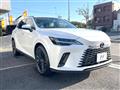 2025 Lexus RX