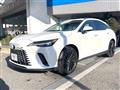2025 Lexus RX