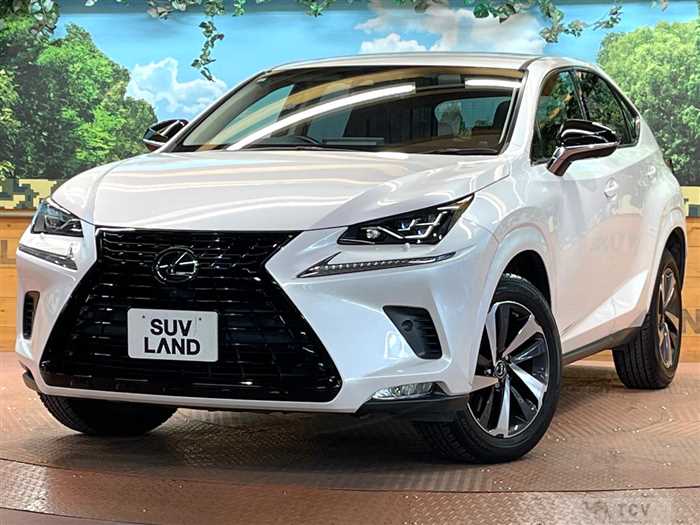 2019 Lexus NX