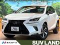 2019 Lexus NX