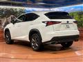 2019 Lexus NX
