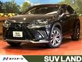 2019 Lexus NX