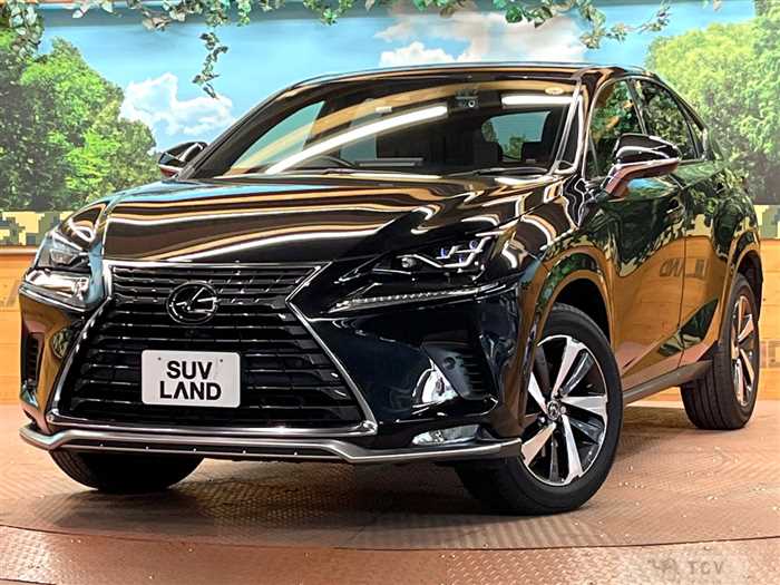 2021 Lexus NX