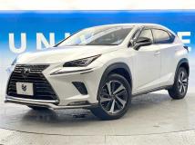 2019 Lexus NX