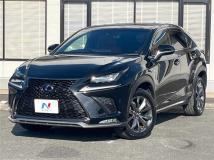 2018 Lexus NX