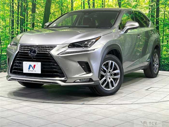 2018 Lexus NX