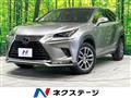 2018 Lexus NX