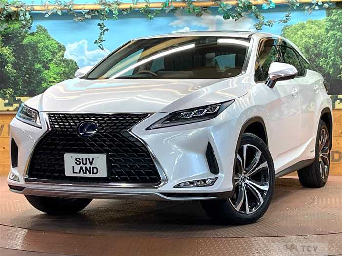 2019 Lexus RX
