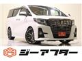 2017 Toyota Alphard G