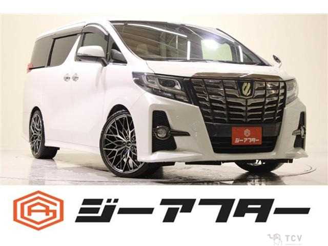2017 Toyota Alphard G