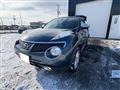 2011 Nissan Juke