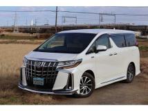 2019 Toyota Alphard G