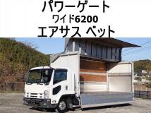 2010 Isuzu Isuzu Others