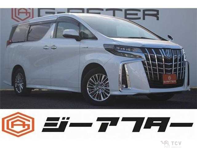 2020 Toyota Alphard G