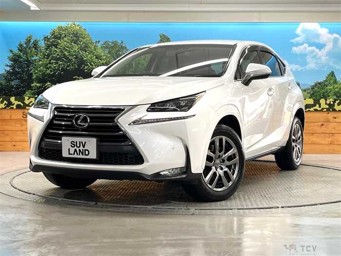 2014 Lexus NX