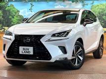 2019 Lexus NX