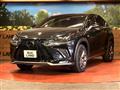 2019 Lexus NX