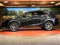 2019 Lexus NX