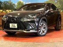 2019 Lexus NX