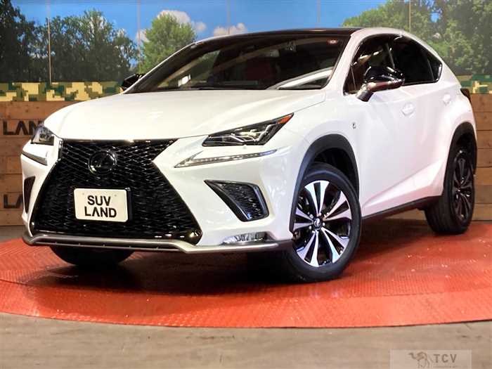2020 Lexus NX