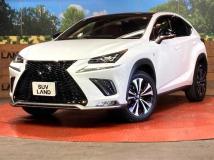 2020 Lexus NX
