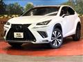 2019 Lexus NX