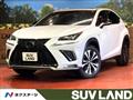 2019 Lexus NX