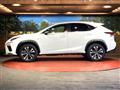 2019 Lexus NX