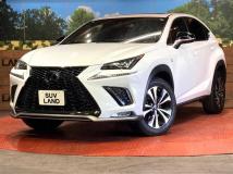 2019 Lexus NX
